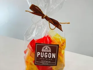 Pugon