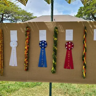 lei line - some more great leis
