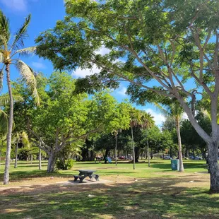Plenty of picnic tables