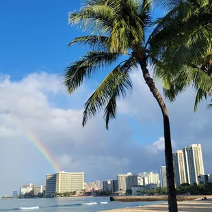 Rainbow