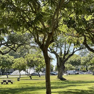 10/26/2021 Walking along Paki Avenue at Kapiolani Park, we see the Louise Dillingham Fountain.