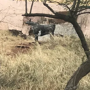 One of our targets. Hard to see, but there's supposed to be a bulls eye drawn where the heart would be.