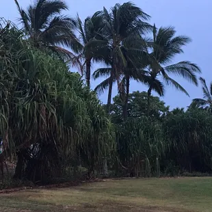 A beautiful place to just relax and enjoy the view Pu'uokapolei.
