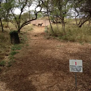 First of the 3D targets.