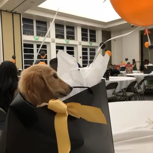 I&apos;m not part of the center piece