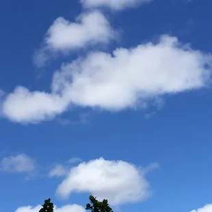 Found a quiet spot to relax and enjoy the trade winds. It's time for a nap!