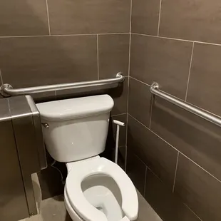 Toilet in mens