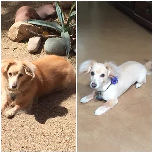 Before and after!