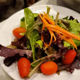 Salad for $10