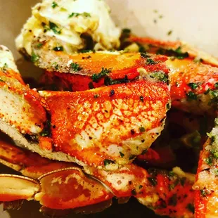 Dungeness Crab