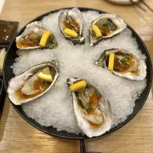 Oysters