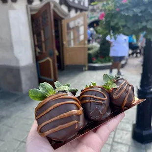 Chocolate Covered Strawberries