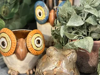 Oakland Inside & Out