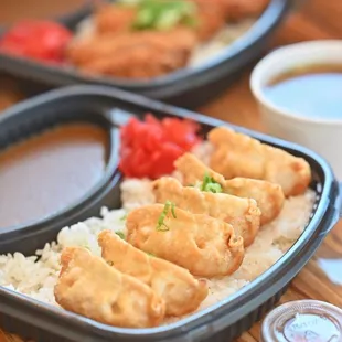 Chicken gyōza plate
