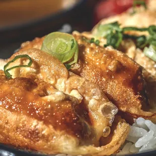 Chicken Gyoza Curry Plate.