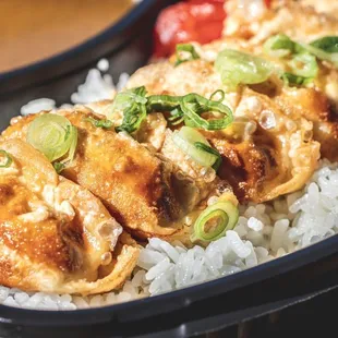 Chicken Gyoza Curry Plate.