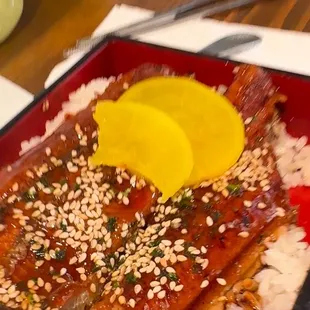Unagi Don (eel)