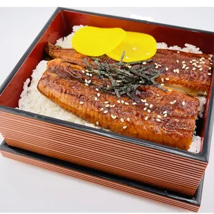 Unagi