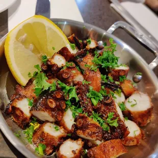 Octopus