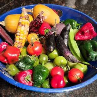 Backyard cornucopia
