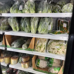 a variety of vegetables in a refrigerator