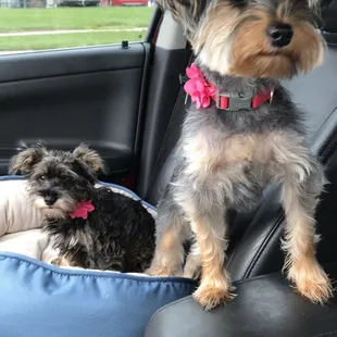 Before a visit to Karen's!