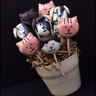 Dog and cat cake pops