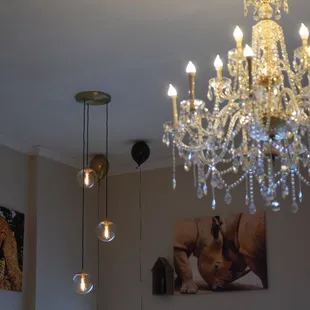 The #winesafari room at night