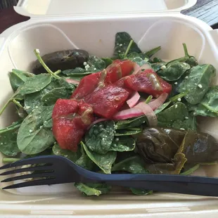 Grilled watermelon salad