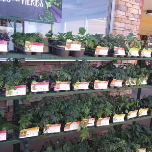 They have veg. plants