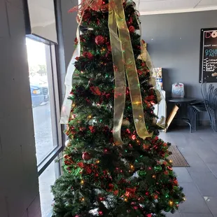 Christmas tree in lobby