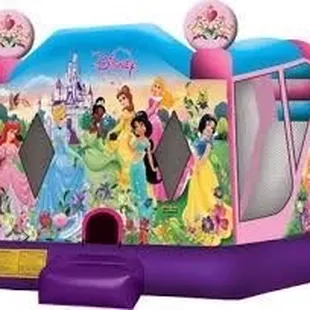 Princess bounce house four hr rental $150 call 316-841-2010