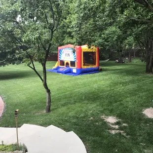 Back yard Birthday party