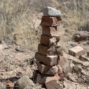 A nice surprise on a hiking trail.