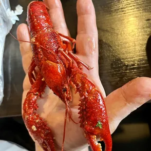 Crawfish