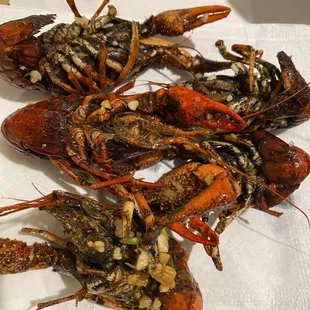 Dirty/muddy crawfish straight from the swamp.