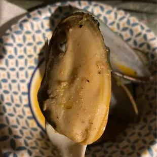 My Cajun menu green mussels had decent flavor and were certainly not undersized.