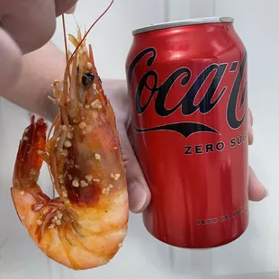 Look at the size of that shrimp! Makes the can look like a mini can.