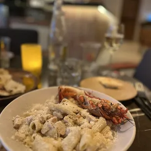 Chicken Alfredo and lobster