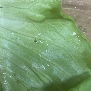 Chicken Lettuce Wrap