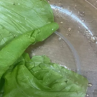 Chicken Lettuce Wrap