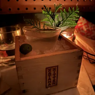 a cat in a box with a plant in it