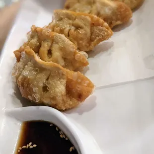 Gyoza
