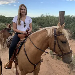 Athos, very strong and big handsome mustang