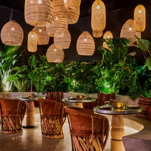 sushi and sashimi, interior