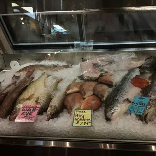 a variety of fish on ice