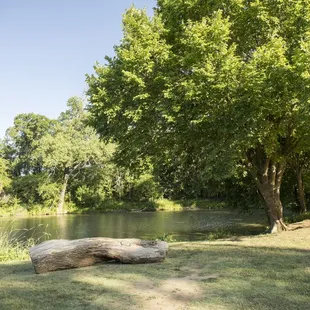 The fishing pond near the back of the park is a serene getaway and stocked regularly with fish.