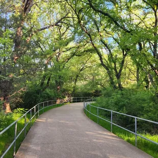 Trails in the Walnut Creek Linear