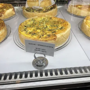 Quiche sp