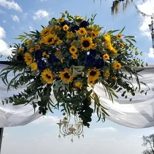 Sunflower spray by Kathie